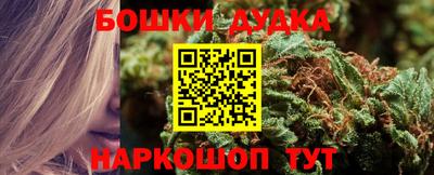 скорость Кингисепп