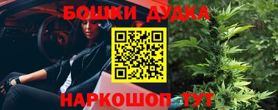 скорость Кингисепп