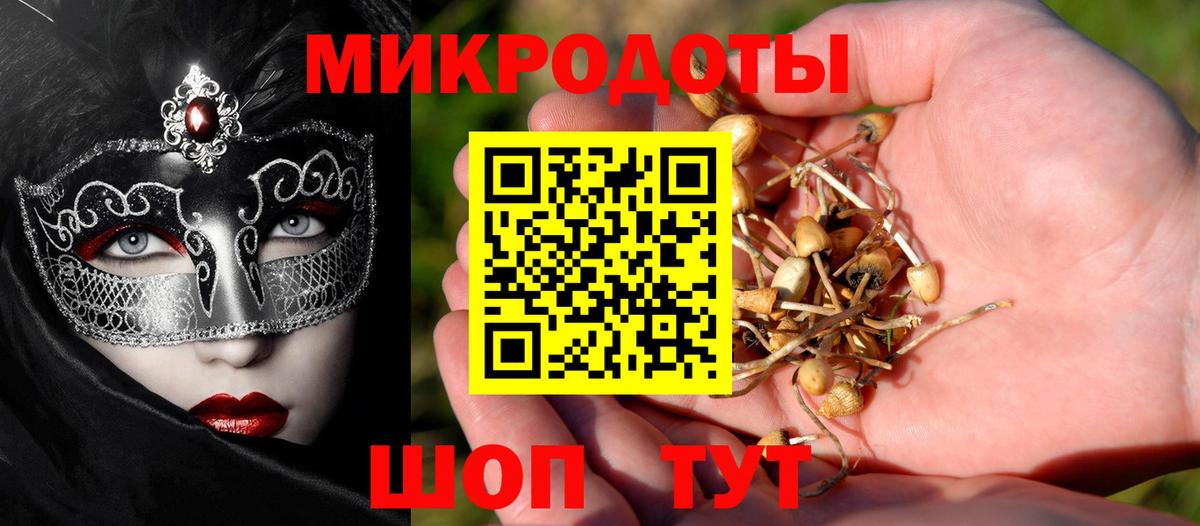 Касимов  Галлюциногенные грибы Psilocybe  Вход с VPN 